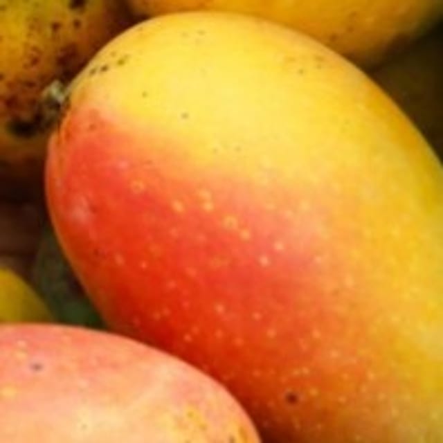 Mucho Mango.